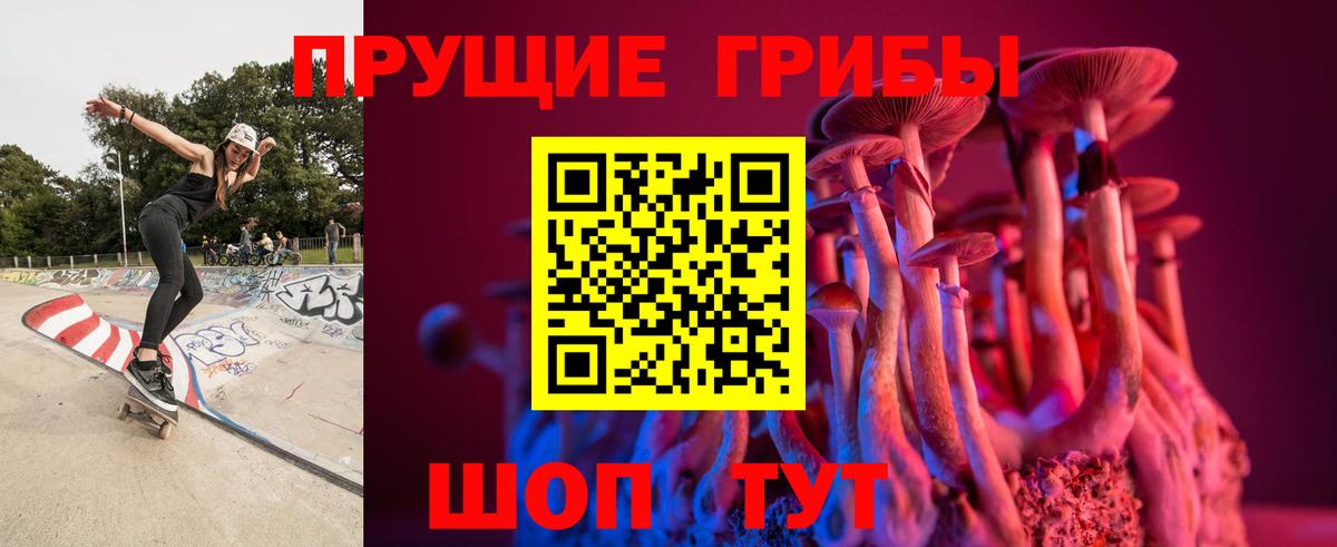 Тында  Псилоцибиновые грибы MAGIC MUSHROOMS  Вход с VPN  Псилоцибиновые грибы GOLDEN TEACHER 