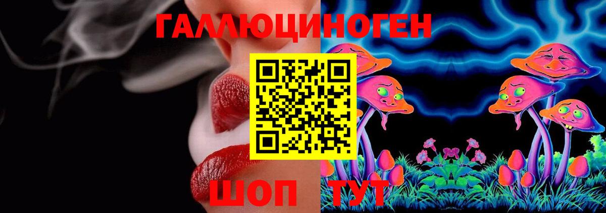 Псилоцибиновые грибы MAGIC MUSHROOMS  Псилоцибиновые грибы мицелий  Тында 